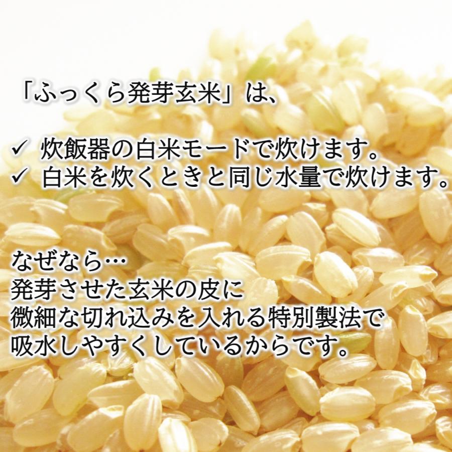 発芽玄米 ふっくら発芽玄米 300g お試しパック 特A会津産コシヒカリ100％