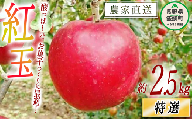 りんご 紅玉 特選 2.5kg やまじゅうファーム 沖縄県への配送不可 2023年10月上旬頃から2023年10月中旬頃まで順次発送予定 令和5年度収穫分 信州の環境にやさしい農産物 減農薬栽培 長野県 飯綱町 [1536]