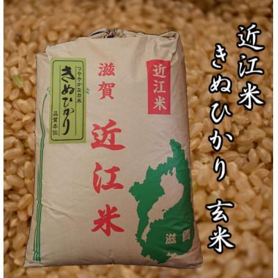 ふるさと納税 竜王町 令和5年産新米　近江米きぬひかり30kg(玄米)　米粉200g付き