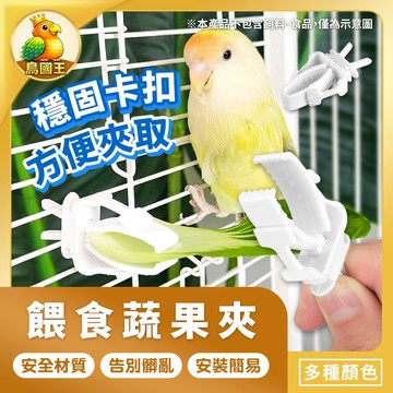【鳥國王】餵食蔬果夾 鸚鵡蔬菜水果夾 水果零食夾 鳥用食物夾 鸚鵡餵食器 墨魚骨固定夾 鸚鵡蔬果夾 鳥籠配件 鸚鵡用品