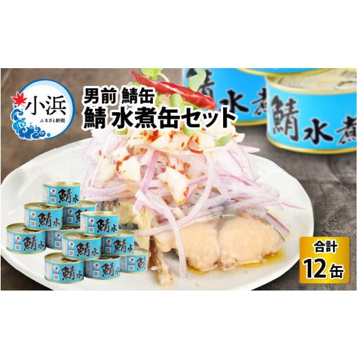 ふるさと納税 福井県 小浜市 鯖水煮缶詰12缶セット 180g×12缶