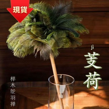 速寄🛒【直降6折】除塵撣子家用掃灰塵除塵掃雞毛撣子裝飾高顏值撣子鴕鳥羽毛真毛 の元氣