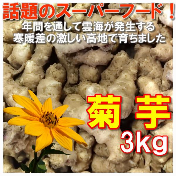 菊芋 きくいも 3kg 当店管理栄養士おすすめのレシピ付き 農薬化学肥料不使用 岡山備中産 得トクセール