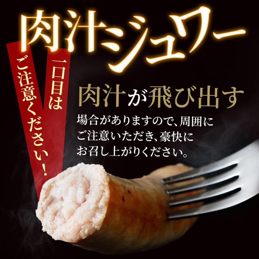 やまと豚 生フランク 80g×10本 NS-DS [冷凍] フランクフルトソーセージ 冷凍 ソーセージ ウインナー 無添加 ギフト 生ウインナー 生ソーセージ お取り寄せ 肉