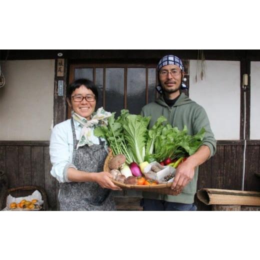 ふるさと納税 島根県 雲南市 旬の自然農野菜おまかせセットB