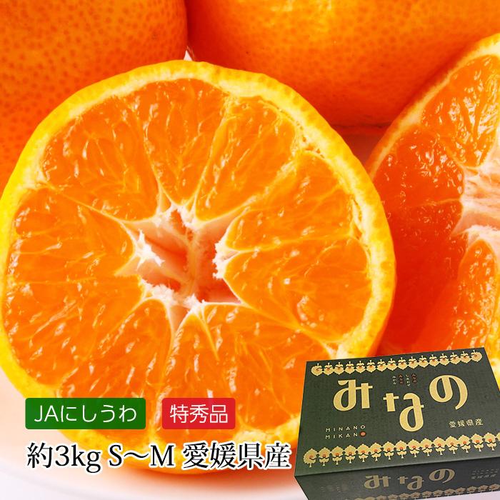 みかん 愛媛県産 みなの共選のみかん 特秀品 約3kg S〜Mサイズ 30〜40個