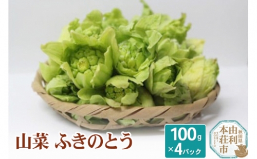 山菜 ふきのとう 100g×4パック 天然 （発送は3月～4月頃）