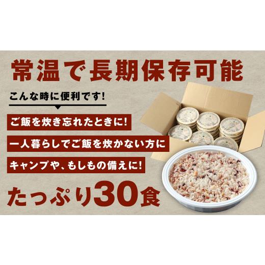 ふるさと納税 熊本県 高森町 阿蘇だわら 十六雑穀ごはん パックライス 160g×30パック 合計180パック 国産