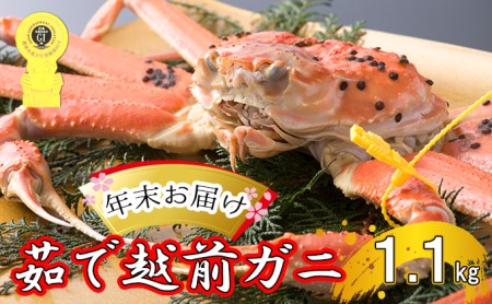 茹で越前ガニ食通もうなる本場の味をぜひ、ご堪能ください。約1.1kg以上 越前がに 越前かに 越前カニ カニ ボイルガニ