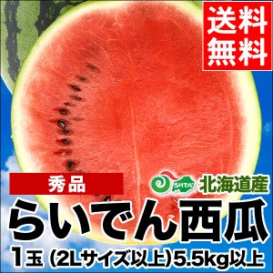 2024年 予約受付中 お中元 ギフト すいか 送料無料 北海道共和町産 らいでんすいか（秀品 2L～4L 5.5kg以上）   御中元 中元 暑中見舞い