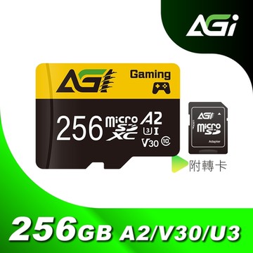 AGI 亞奇雷 TF138 256GB MicroSDXC card UHS-I A2 V30(讀寫100/70MBs 附轉卡)