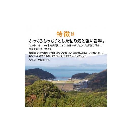 ふるさと納税 熊本県 天草市 S108-004_熊本県天草産　天草の大地の恵み　新米コシヒカリ12kg〈令和5年産〉