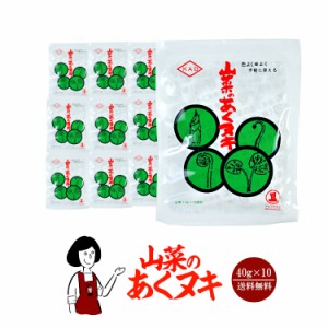 山菜のあくヌキ 40g×10袋 ／山菜1kg×100回分 メール便 送料無料