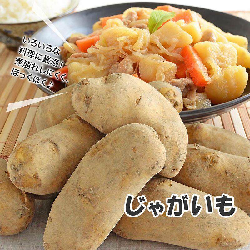 4種野菜セット（キャベツ・たまねぎ・じゃがいも・にんじん） きゃべつ 玉ねぎ ポテト 人参 定番 万能 おうちごはん おうち時間 ご家庭用