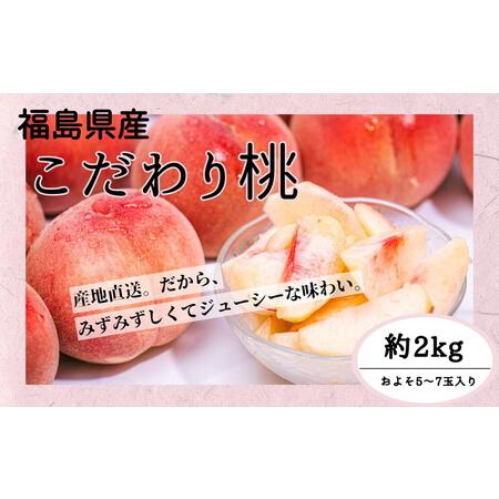 ふるさと納税 ◆2024年夏発送◆＜ 産直・こだわり桃・約2kg ＞ ※着日指定不可 ※離島への配送不可 ※2024年7月中旬〜9月中旬頃に順次発送予定 福島県国見町