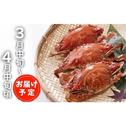 ふるさと納税 大分県 豊後高田市  ぶんご岬ガザミ （蒸し） 約1kg 養殖 ワタリガニ ※雌雄無選別 冷凍配送 直送 カニ 蟹