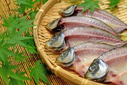 土佐大月海産　高級アジの干物 恋あじ 700g