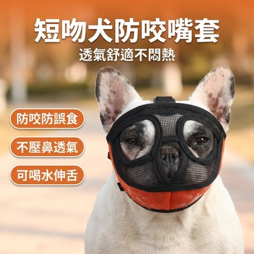 【台灣現貨】 短吻犬專用 法鬥嘴套 防咬套 鬥牛犬 惡霸犬 巴哥 面罩 嘴套