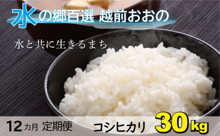 こしひかり 30kg × 12回 計360kg（白米）「エコファーマー米」－水のまちのお米－[Q-003002]