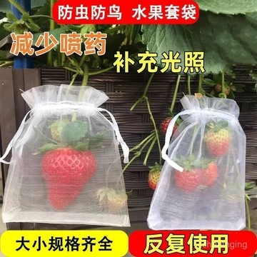 1月現貸✈️水果套袋草莓紗網袋葡萄保護袋防蟲防鳥紗網套袋細網束口袋抽繩袋 5MJ2