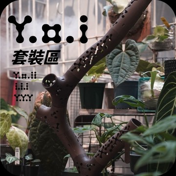 台製精品｜Ｙ•Ｏ•Ｉ攀爬棒｜讚讚製造×斑啾植選｜攀爬柱｜免束帶｜免螺絲｜水苔棒｜氣根攀爬｜爬藤植物｜龜背芋｜蔓綠絨