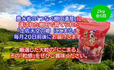 ★令和5年産★2010年・2016年 お米日本一コンテスト inしずおか 特別最高金賞受賞土佐天空の郷　にこまる 2kg　毎月お届け全6回