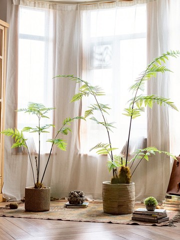 掬涵仿真大型蕨葉樹金絲猴蕨綠植盆景客廳室內櫥窗裝飾品植物擺件