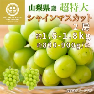 [最短順次発送]   超特大 シャインマスカット 約1.6kg 約800g-900g x 2房 山梨県産 ぶどう ギフト 通販 果実箱     暑中見舞 残暑見舞