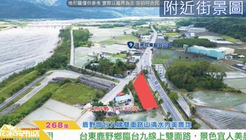 專任鹿野臨台九線雙面路山清水秀美農地14F161｜台東縣鹿野鄉隆昌段