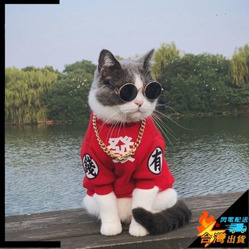 【台灣出貨】寵物過年衣服 貓咪衛衣 狗狗背心 小型犬兩腳衣 春秋冬加絨衣服 比熊泰迪用品 幼犬新年服 貓咪衣服