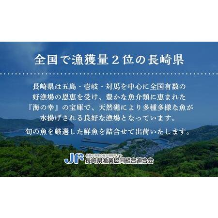 ふるさと納税 年内発送　長崎鮮魚セット（松） 長崎県