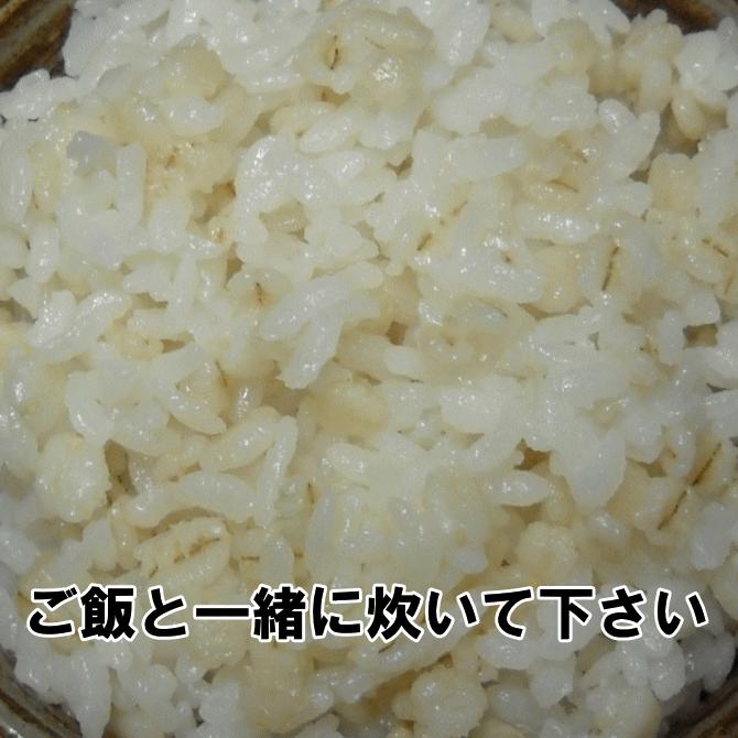 押麦 450g ポスト投函専用 無農薬 大麦 福岡県産 筑後久保農園 1000円 ぽっきり