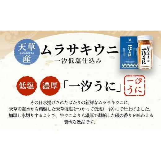 ふるさと納税 熊本県 上天草市 天草産ムラサキウニだらけ　豪華2本セット　(一汐低塩仕込み／60g)