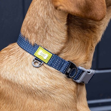 《Built》夜間反光寵物項圈-M-- 狗狗項圈 貓咪項圈 防走失