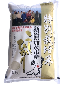 新潟県加茂市産 特別栽培米コシヒカリ 玄米25kg（5kg×5）従来品種コシヒカリ 加茂有機米生産組合 定期便 定期購入 定期 コシヒカリ 新潟県産コシヒカリ 米 お米