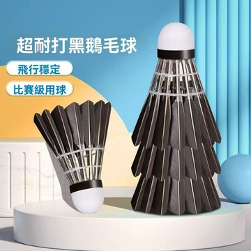 🔥臺灣出貨🔥廠家直銷羽毛球 耐打真羽毛室外訓練比賽專用便宜清倉耐用防風