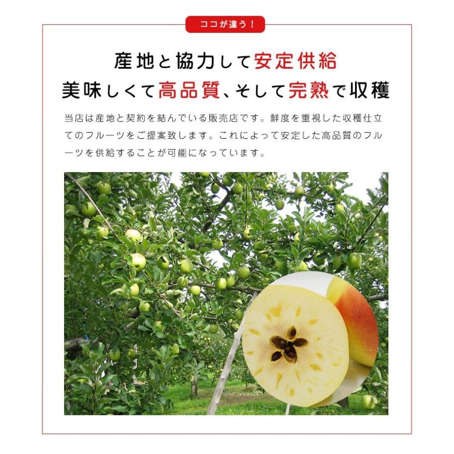 送料無料 青森県産 りんご ぐんま名月 9-11玉 約3kg りんご ぐんま名月 3kg りんご 青森 りんご 3kg 送料無料 群馬名月 ギフト 贈答 フルーツギフト