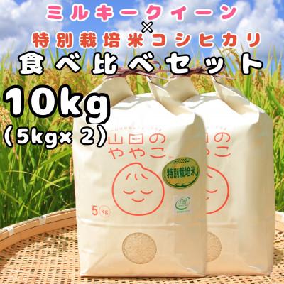 ふるさと納税 河内町 令和5年産『山田のややこ』ミルキ―クイーン(5kg)特別栽培米コシヒカリ(5kg)食べ比べセット