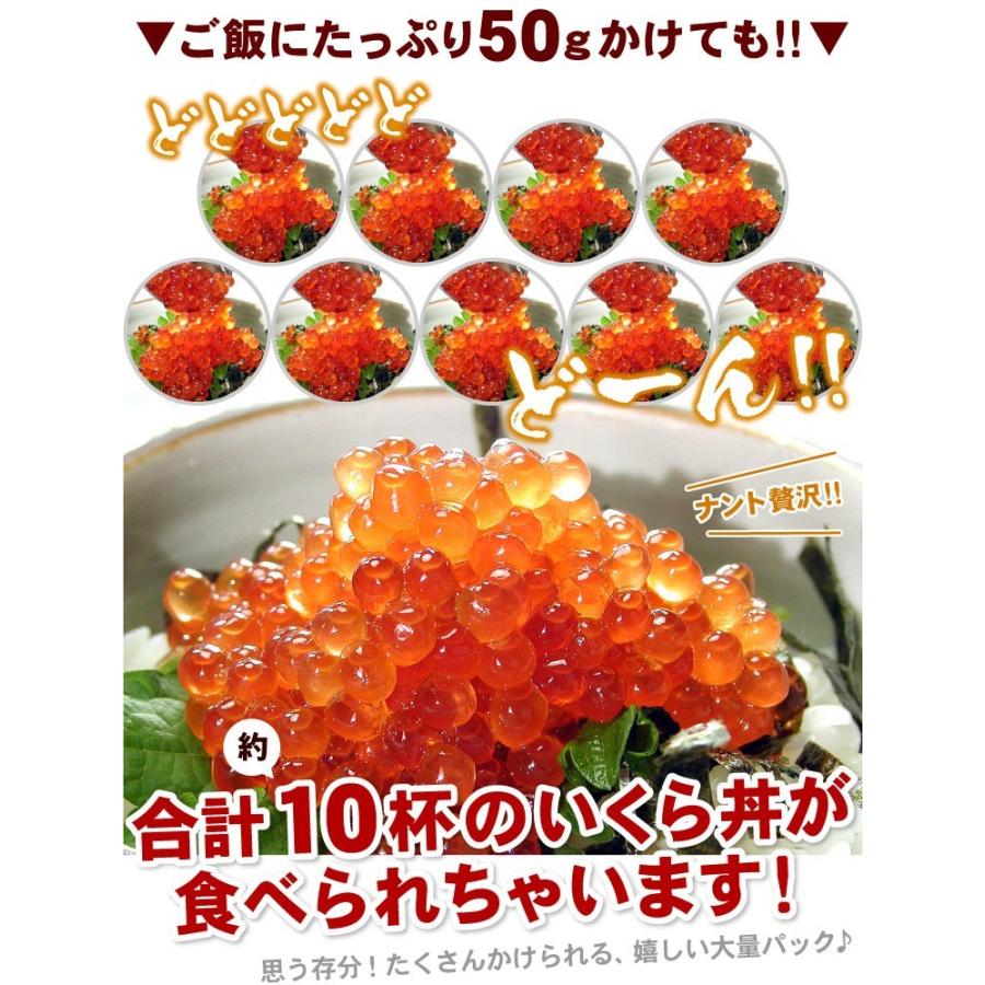 鱒 いくら 醤油漬 500g イクラ 醤油漬け 送料無料（沖縄宛は別途送料を加算）