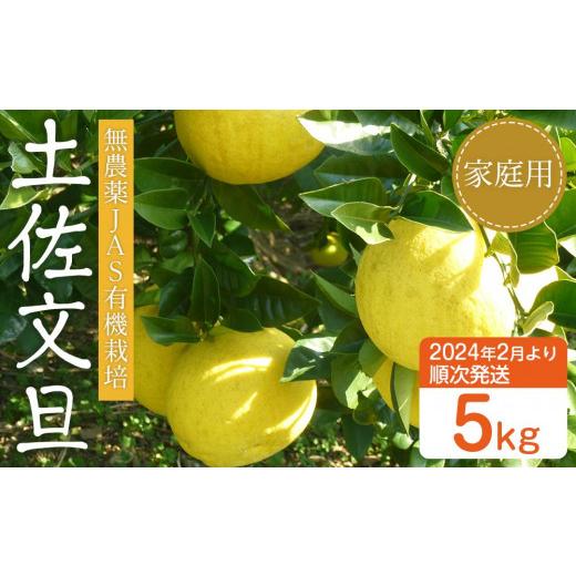 ふるさと納税 高知県 香美市 無農薬JAS有機栽培文旦 5kg（家庭用)【果物 くだもの フルーツ ぶんたん 柑橘 国産 グルメ 期間限定 …