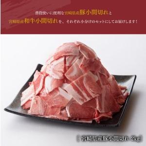 ふるさと納税 ※令和6年2月より順次発送※和牛と豚肉のこま切れセット 2.5kg【肉 牛肉 牛 豚肉 豚 宮崎県産牛肉 宮崎県産豚肉 小間切れ 豚 セッ.. 宮崎県川南町