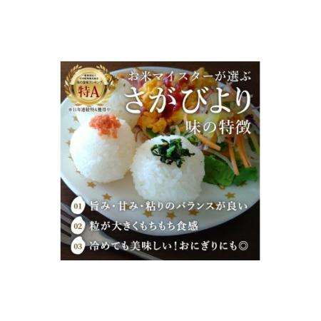 ふるさと納税 さがびより５kg×６回 B463 佐賀県伊万里市