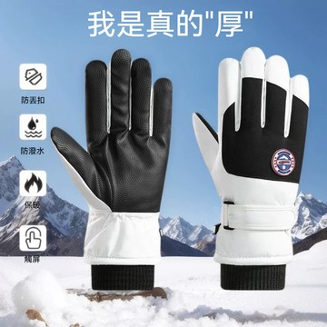 快速出貨 機車手套 滑雪手套 防寒手套 保暖手套 可觸屏手套 騎車手套 摩托車手套防風防水手套 騎士手套 男/女用手套