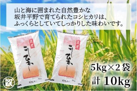 坂井市産コシヒカリ 10kg と もみわかめ中瓶セット [C-1710]