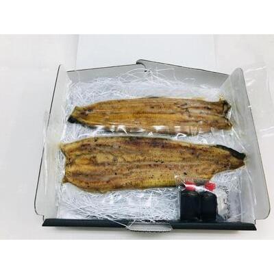 ふるさと納税 職人が焼いたうなぎ蒲焼き(150g×2尾)百年料亭 宇喜世名物 新潟県上越市