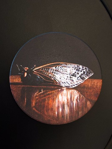 葉子奇 藝術家系列 十七年蟬 杯墊