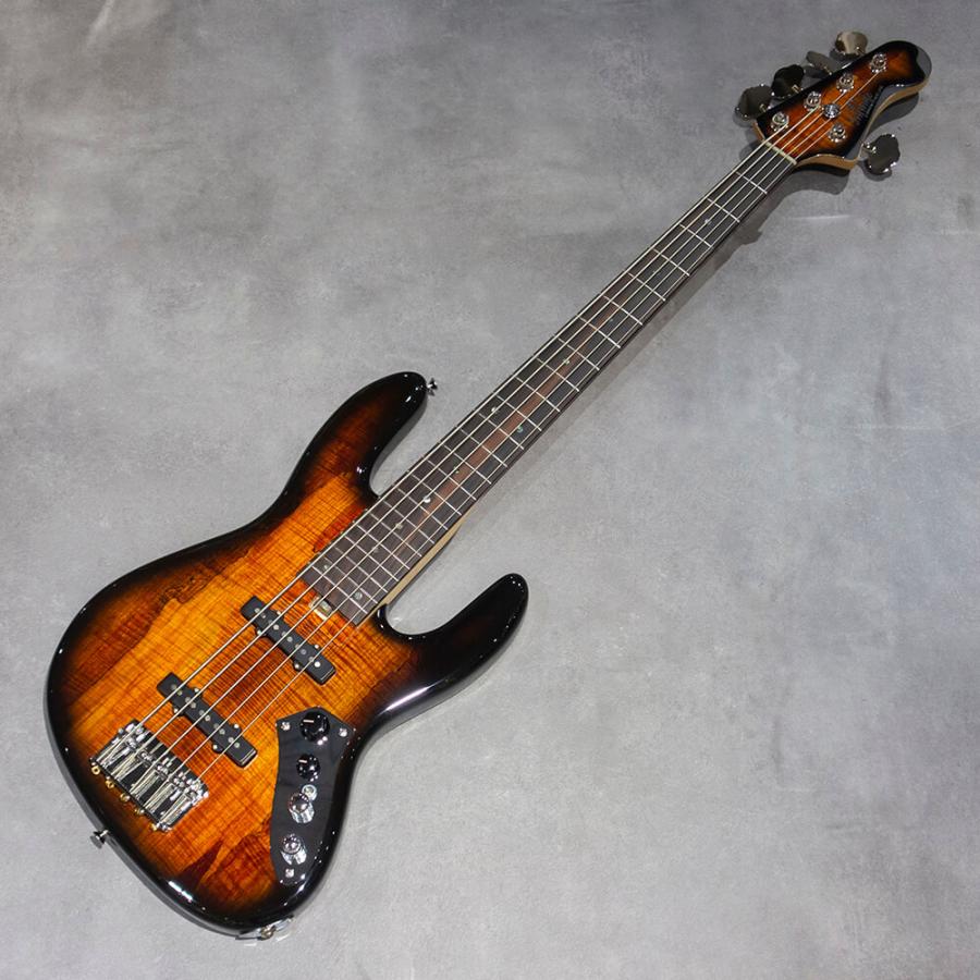 infinite  Trad JB 5st Active Bendtop Spolted Maple Bengal Burst