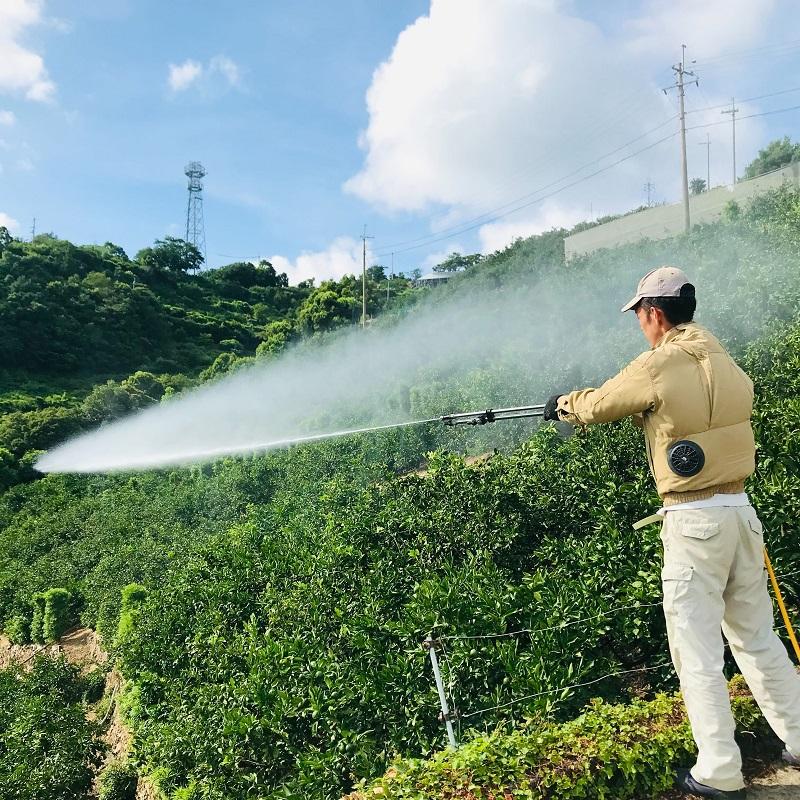 和歌山県産 有田みかん 5kg 蜜柑 みかん ミカン プレゼント 果物 フルーツ 人気 売れ筋 先行予約