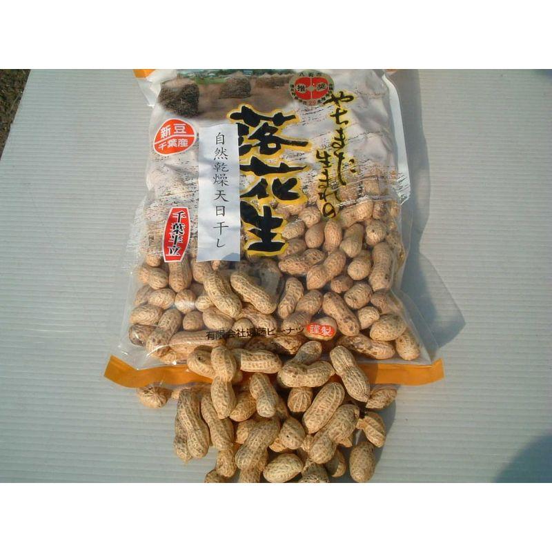 天日干し煎ざや400g×10個セット(千葉半立） 千葉県産八街落花生