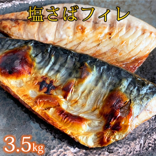 大容量！塩さばフィレ3.5kg